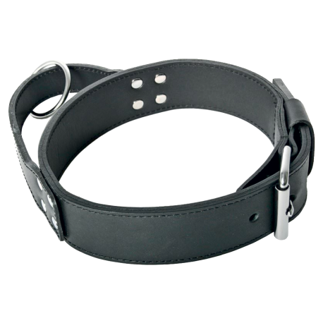 Collier Dressage d'intervention en cuir avec poignée