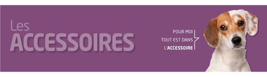 Les Accessoires