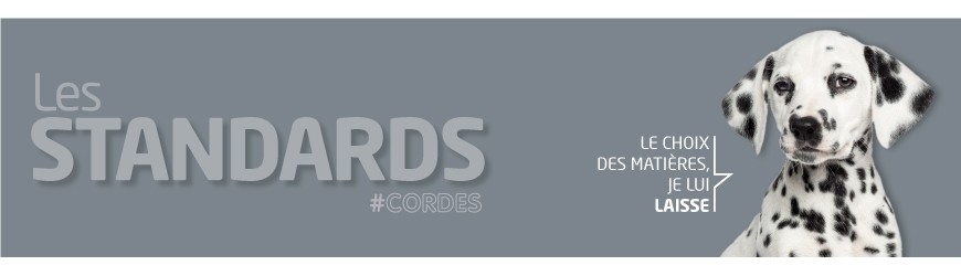 Cordes